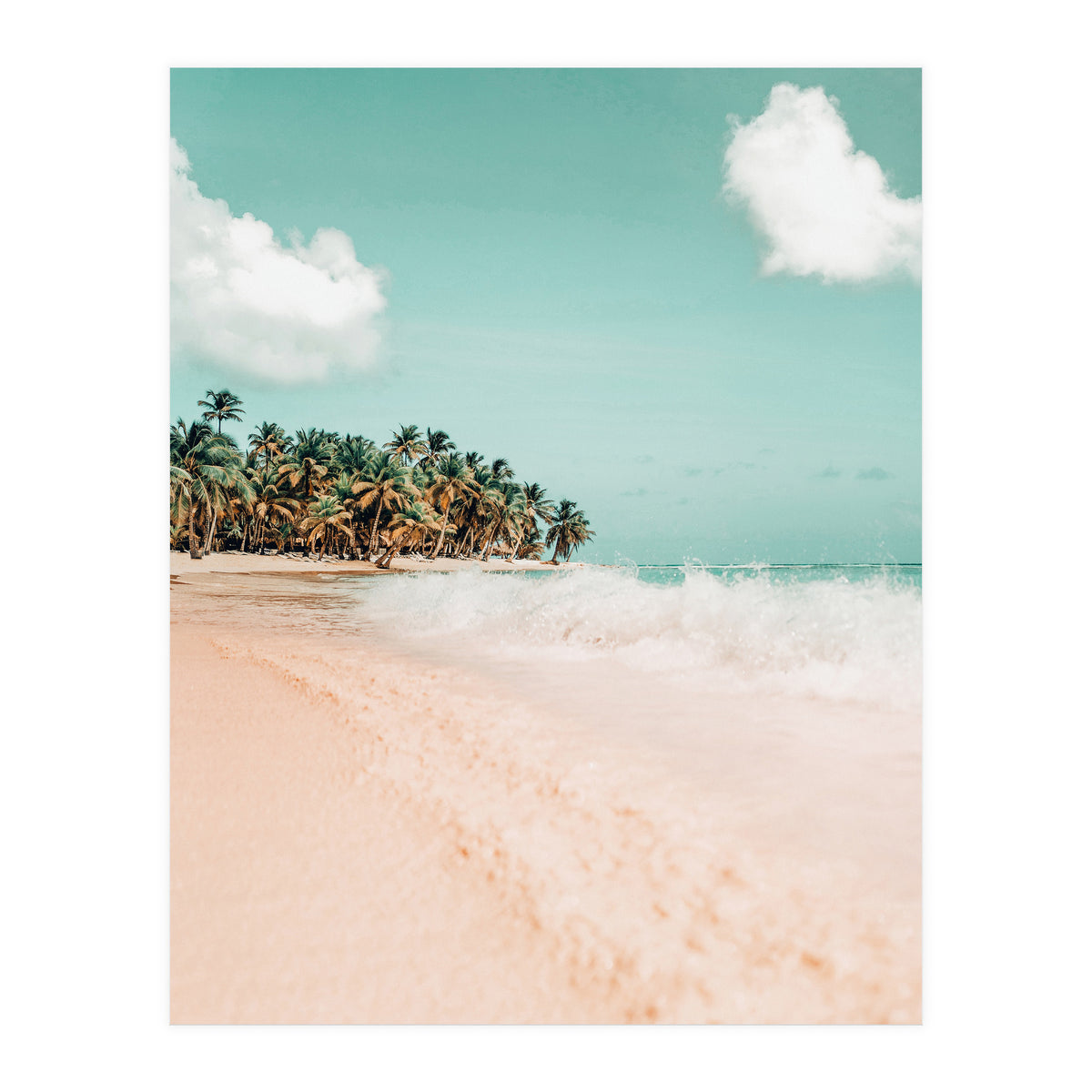 Palm Island (Print Only)