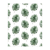 Monstera Leaves (Print Only) thumbnail