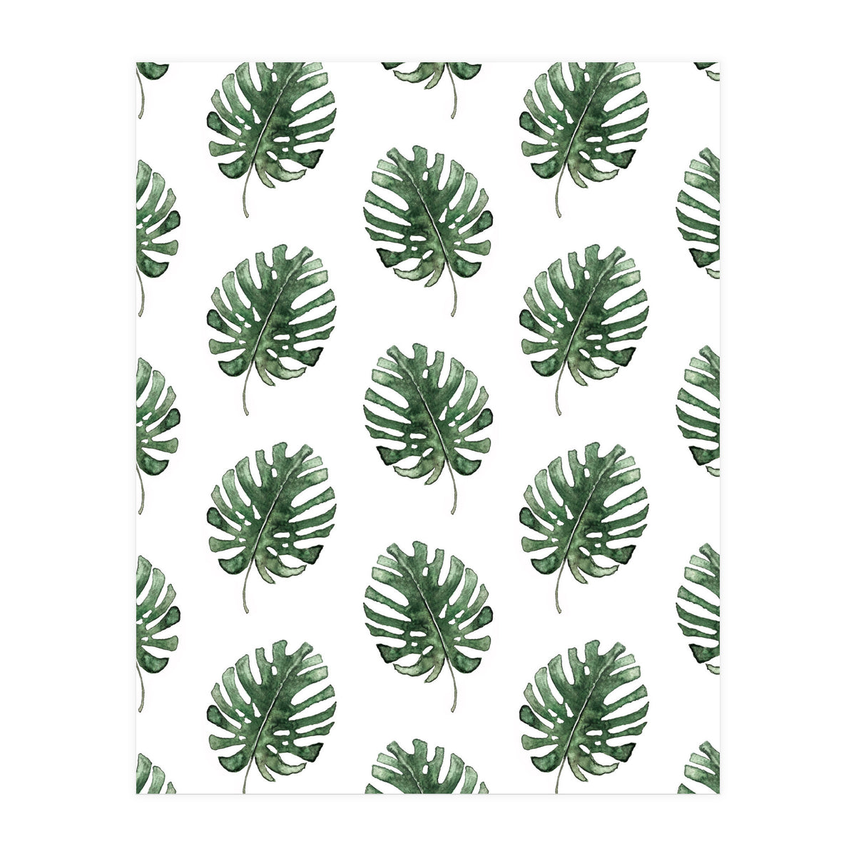 Monstera Leaves (Print Only)
