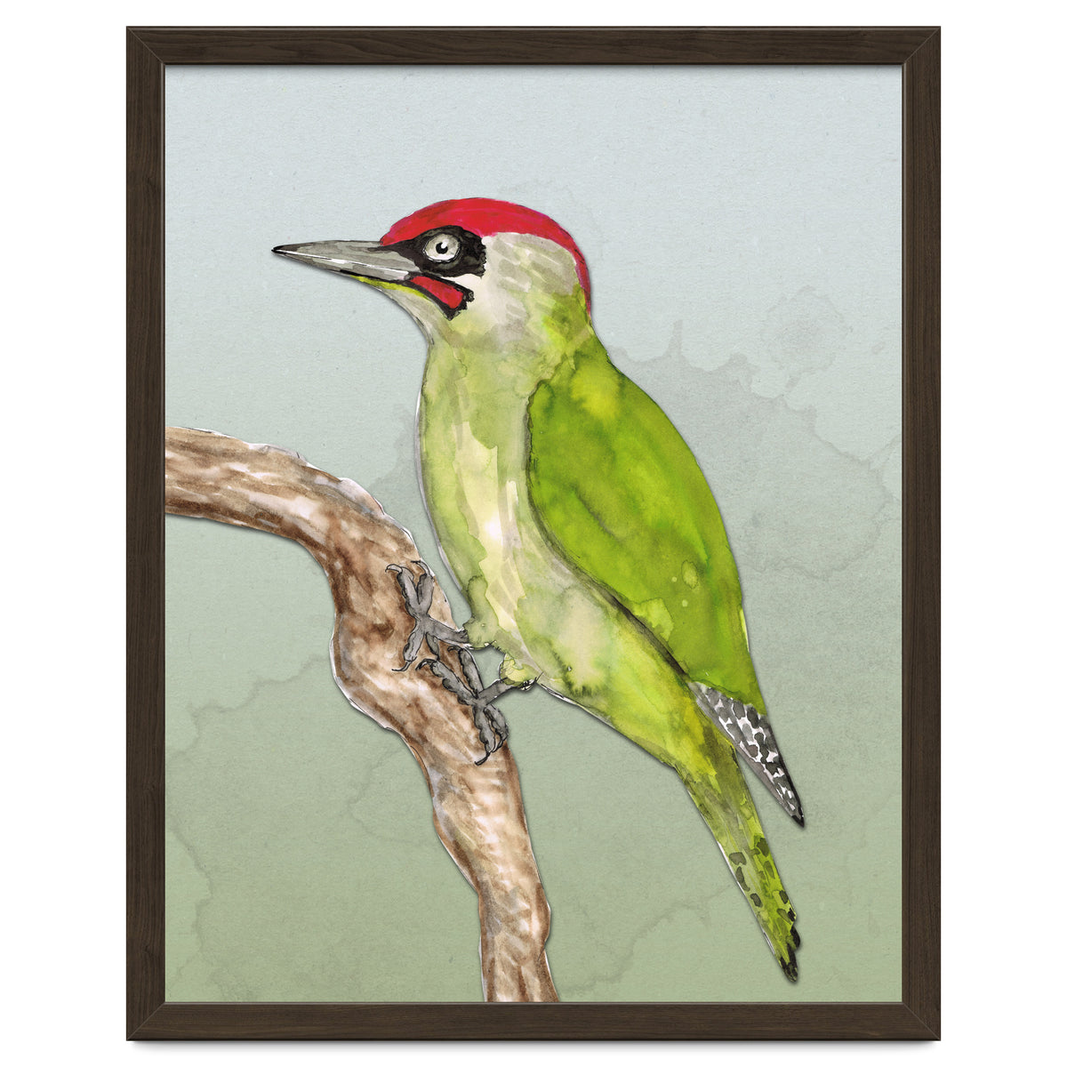 Green woodpecker