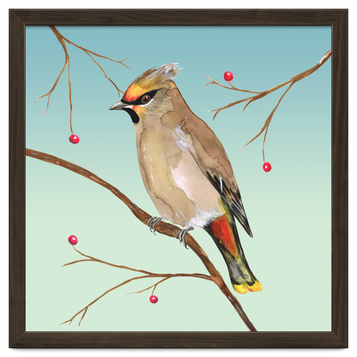 Bohemian waxwing