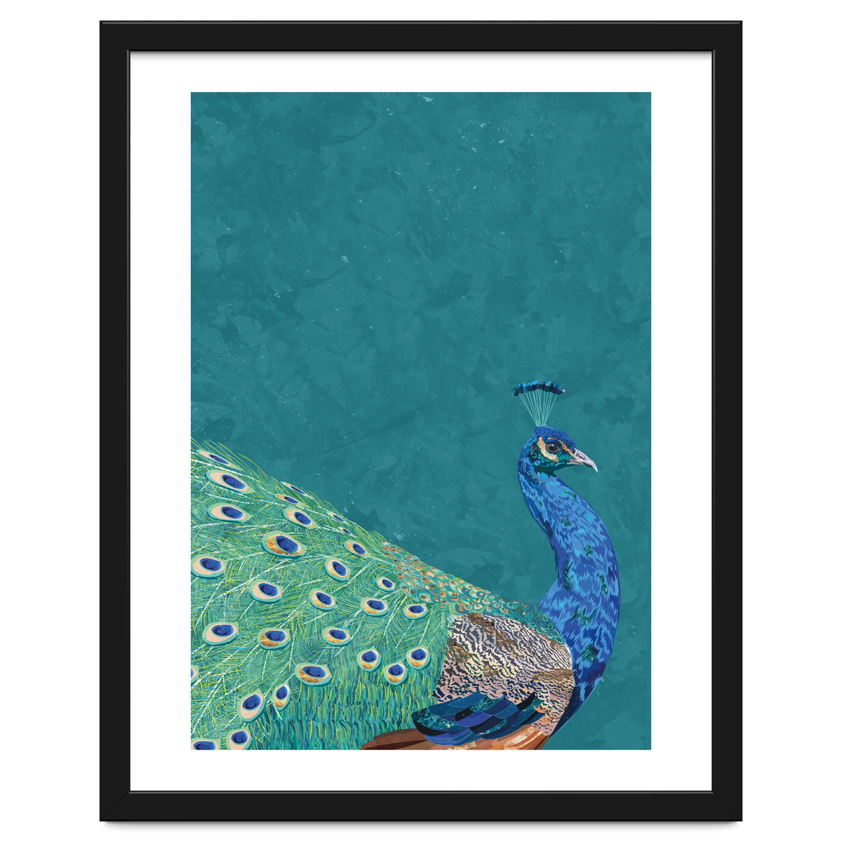 Perfect Peacock Turquoise Portrait
