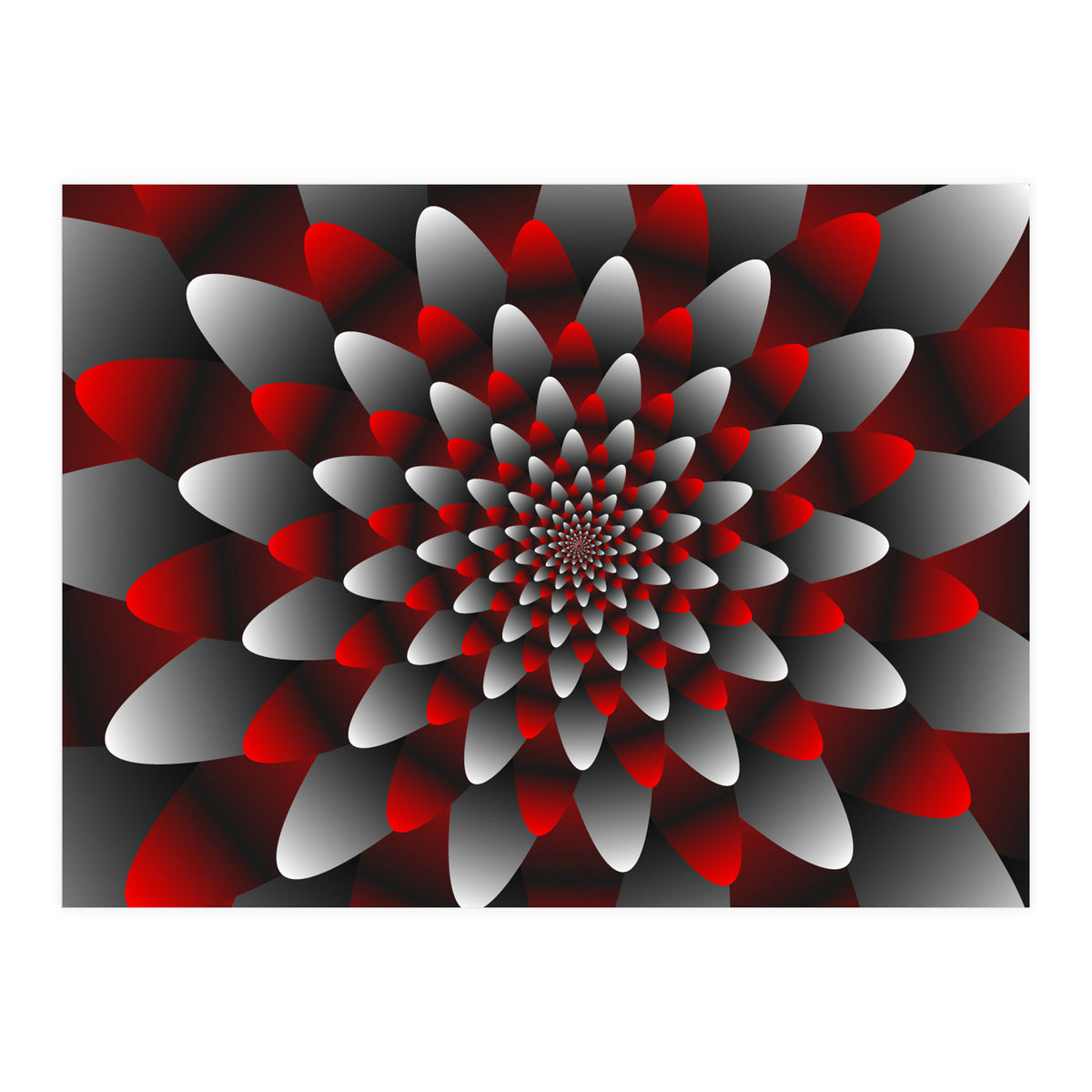 Beautiful Modern Flower Graphics (Print Only)