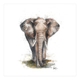 Elephant - Wildlife Collection (Print Only) thumbnail