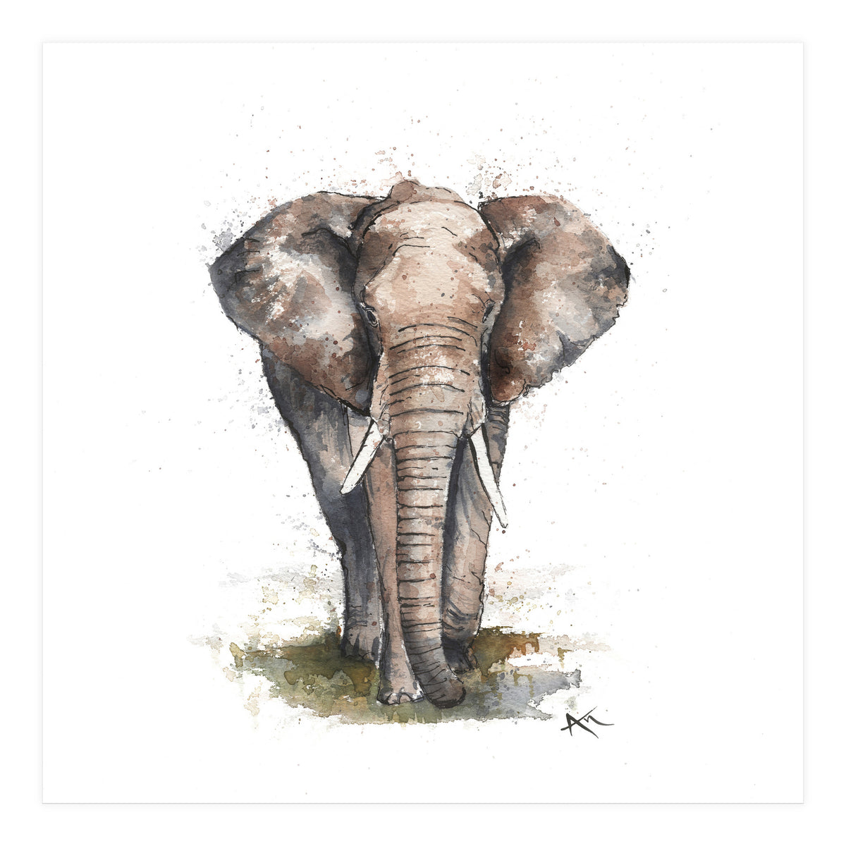 Elephant - Wildlife Collection (Print Only)