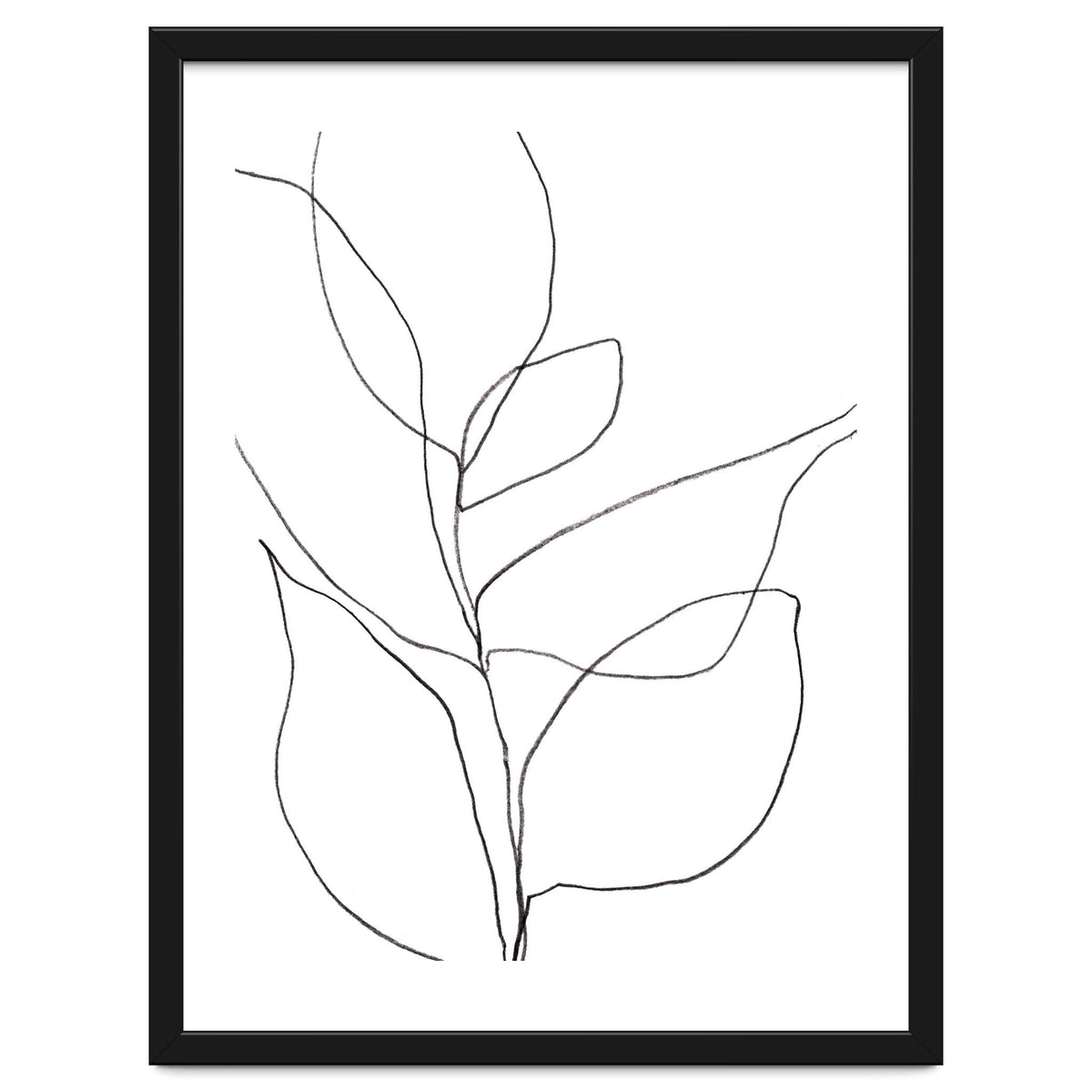 Plant Line Drawing