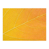 Autumn Leaf (Print Only) thumbnail