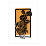 Fiddle Leaf Fig Clean + Sunlight (Print Only) thumbnail