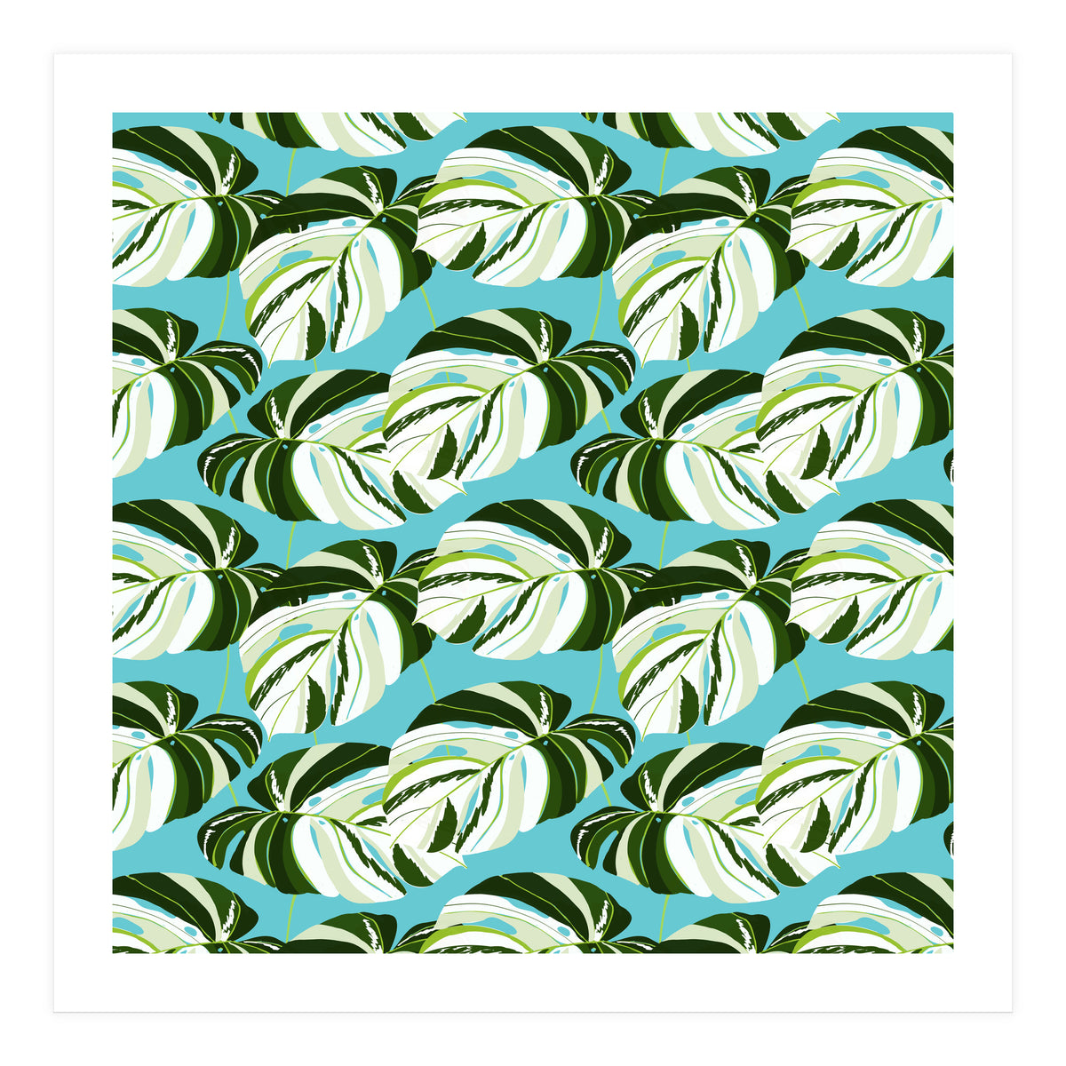 Summer Variegated Monstera | Rainforest Jungle botanical Plants Illustration | Boho Tropical Nature (Print Only)