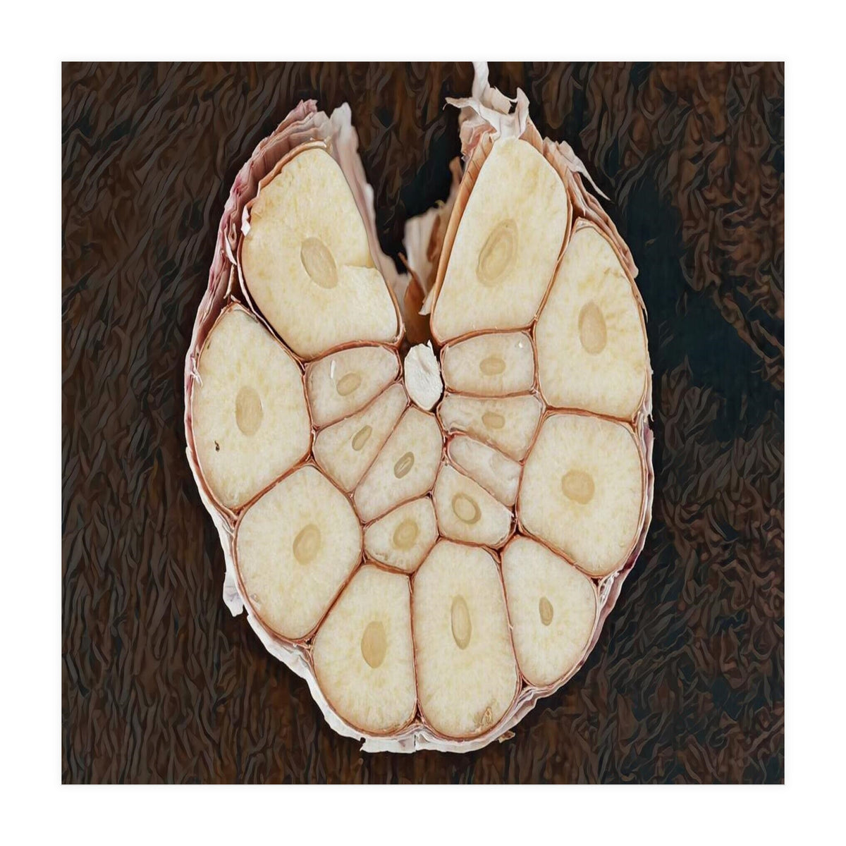 Garlic Italian Cuisine (Print Only)