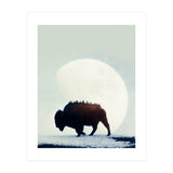 Wild West (Print Only) thumbnail