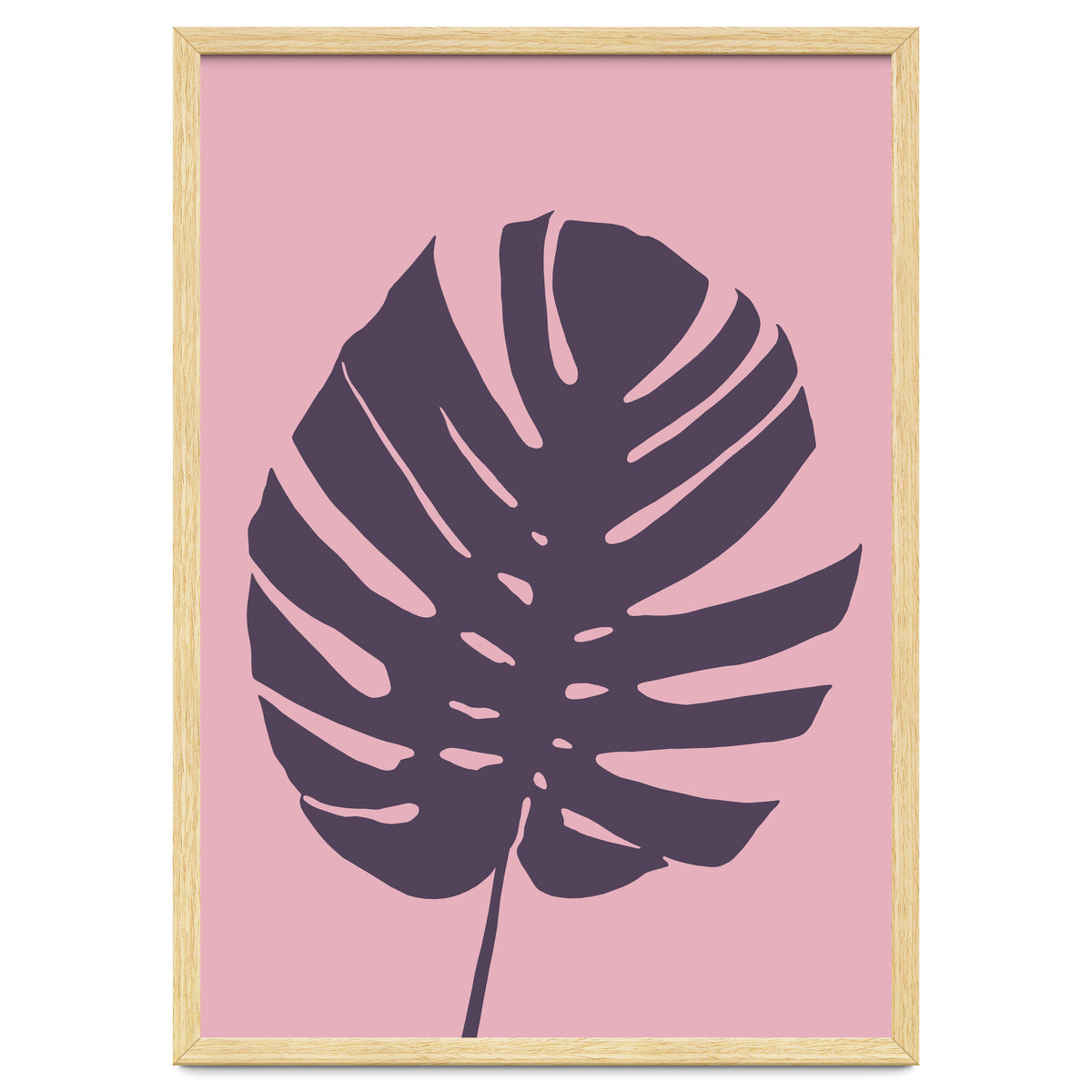 Monstera Deliciosa III