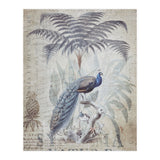 Peacock Jungle (Print Only) thumbnail