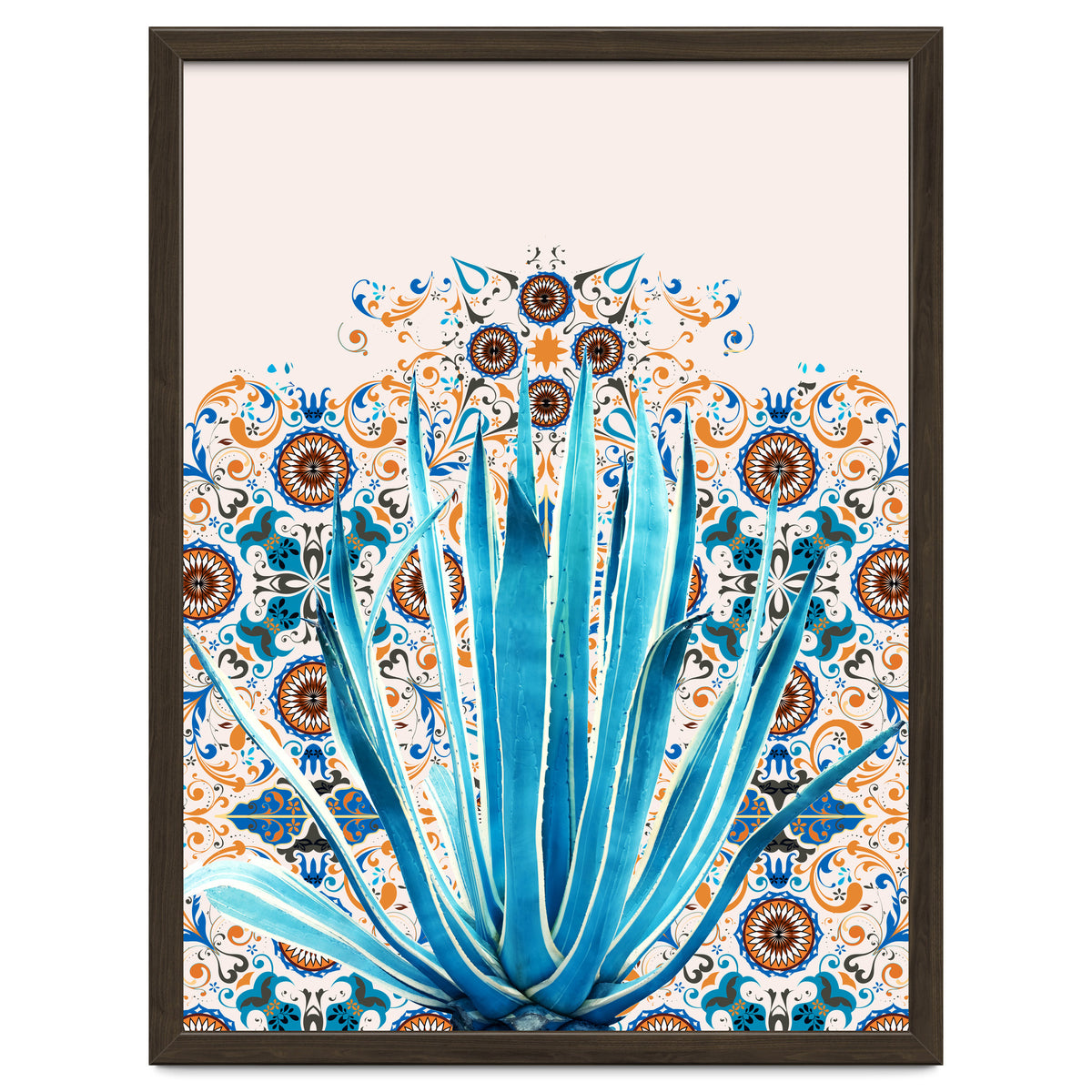 Cactus and Moroccan tiles