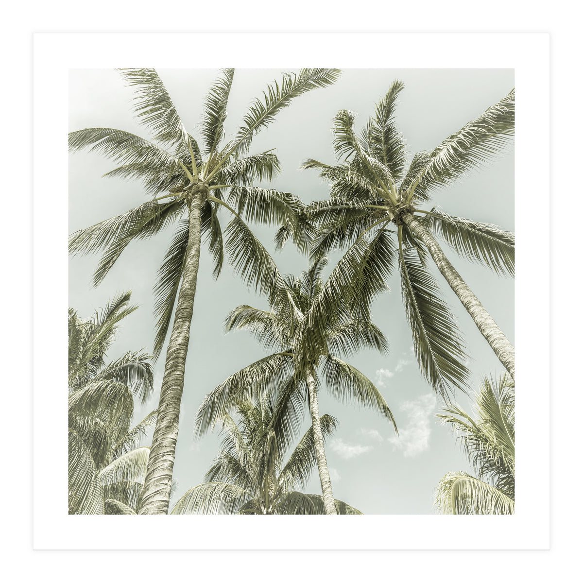 Lovely Palm Trees | Vintage (Print Only)