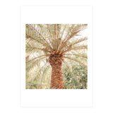 Tropical 2 (Print Only) thumbnail