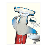 Hammerhead Shark Shaving (Print Only) thumbnail