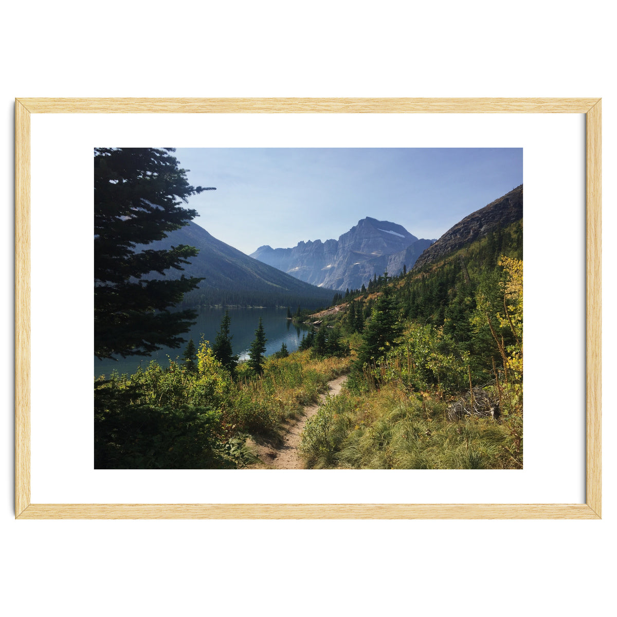 Glacier National Park IV