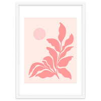 Mid Century Pink Garden