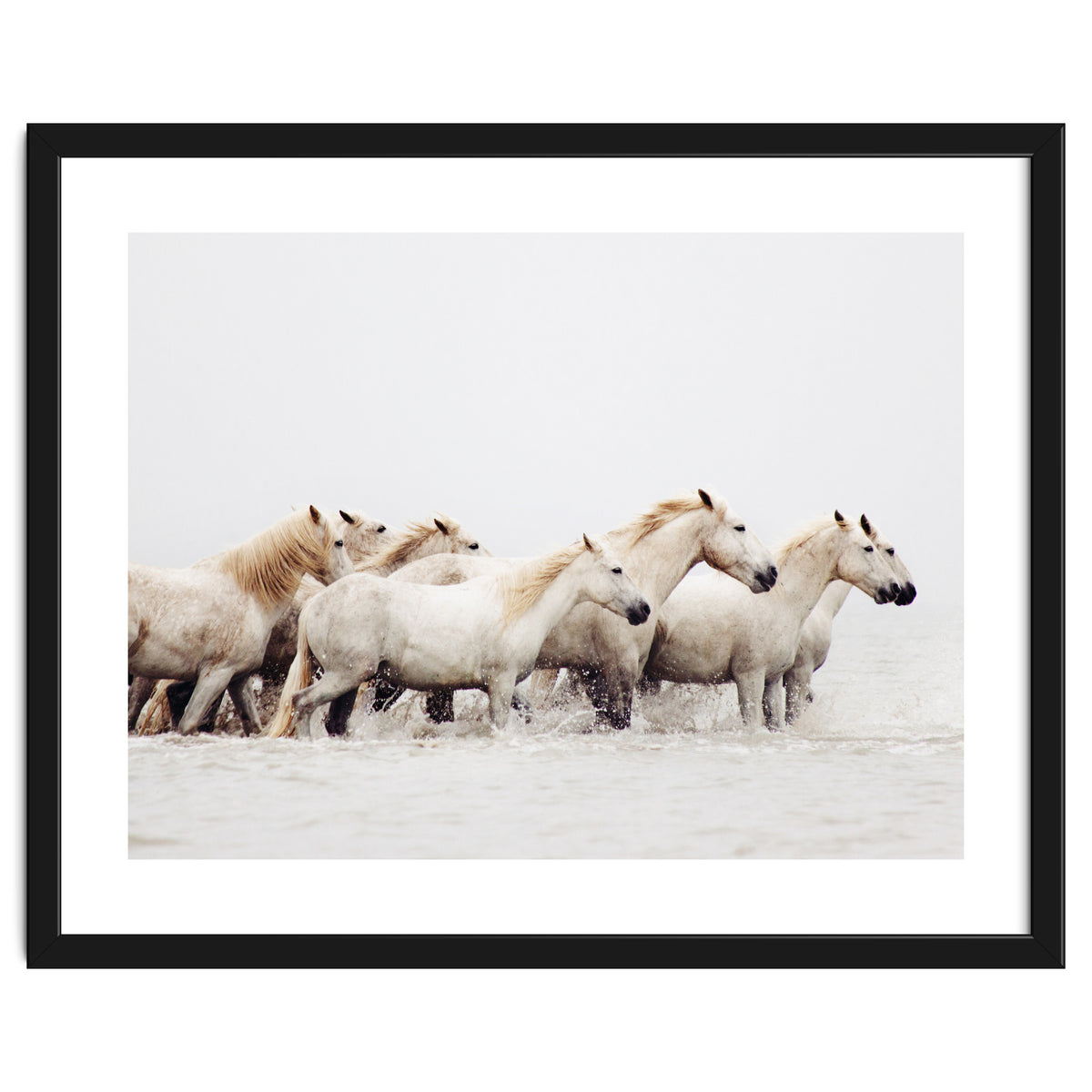 White Horses - Nature Photography