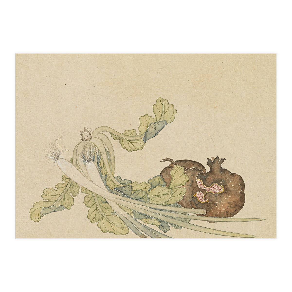 Wang Chengyu ~flowers, Vegetables, Pomegranates, Onions, Chinese Cabbage, Vegetables (Print Only)