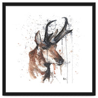 Red deer - Wildlife Collection