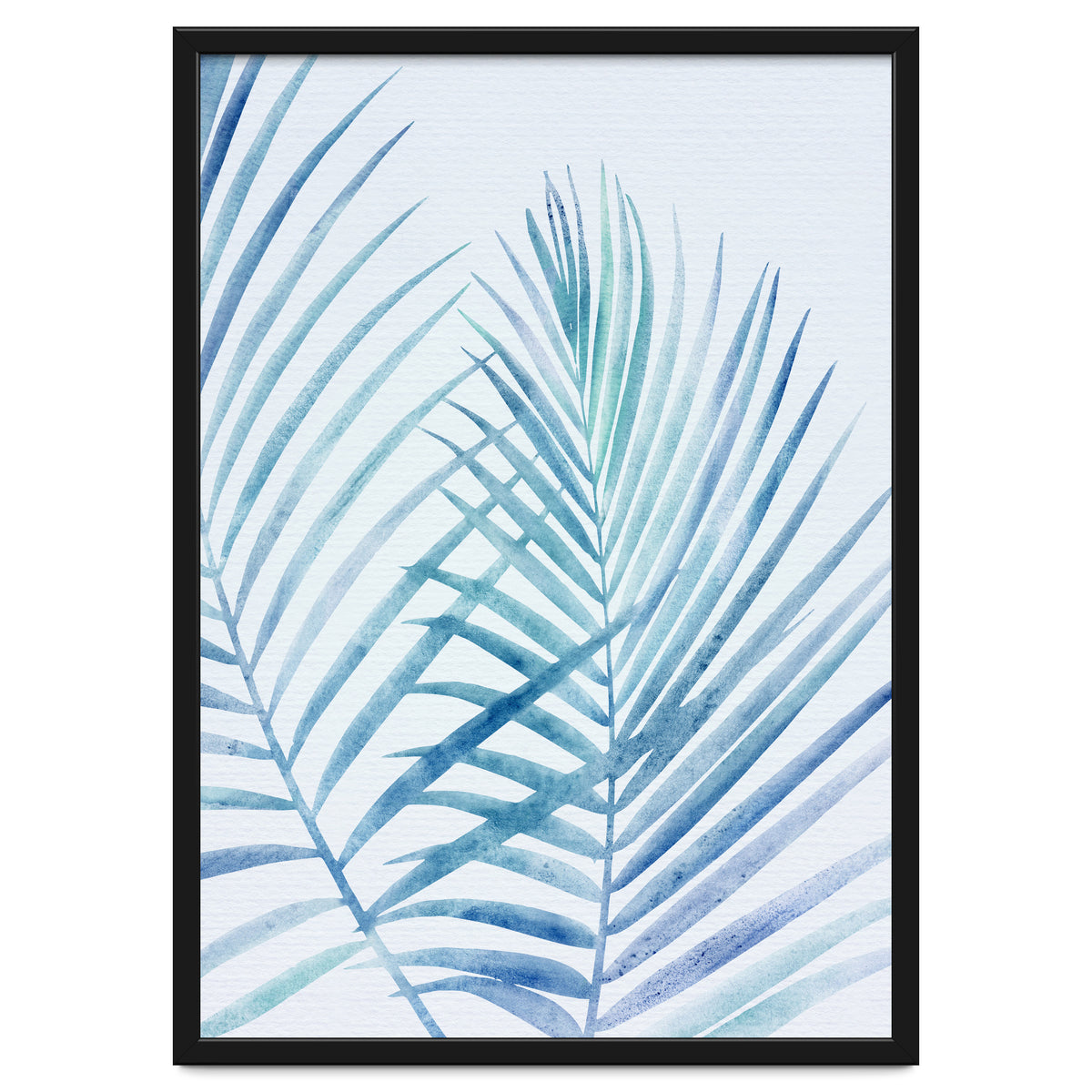 Coastal Palm Fronds