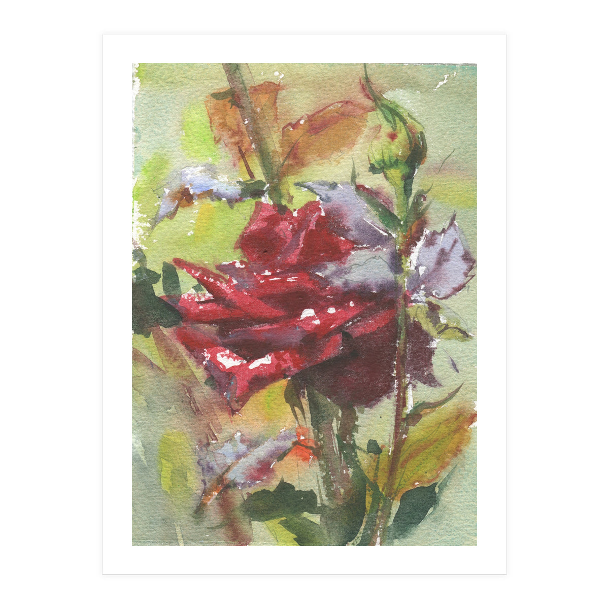 Spice Rose watercolor painting (Print Only)
