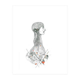 Anatomy (Print Only) thumbnail