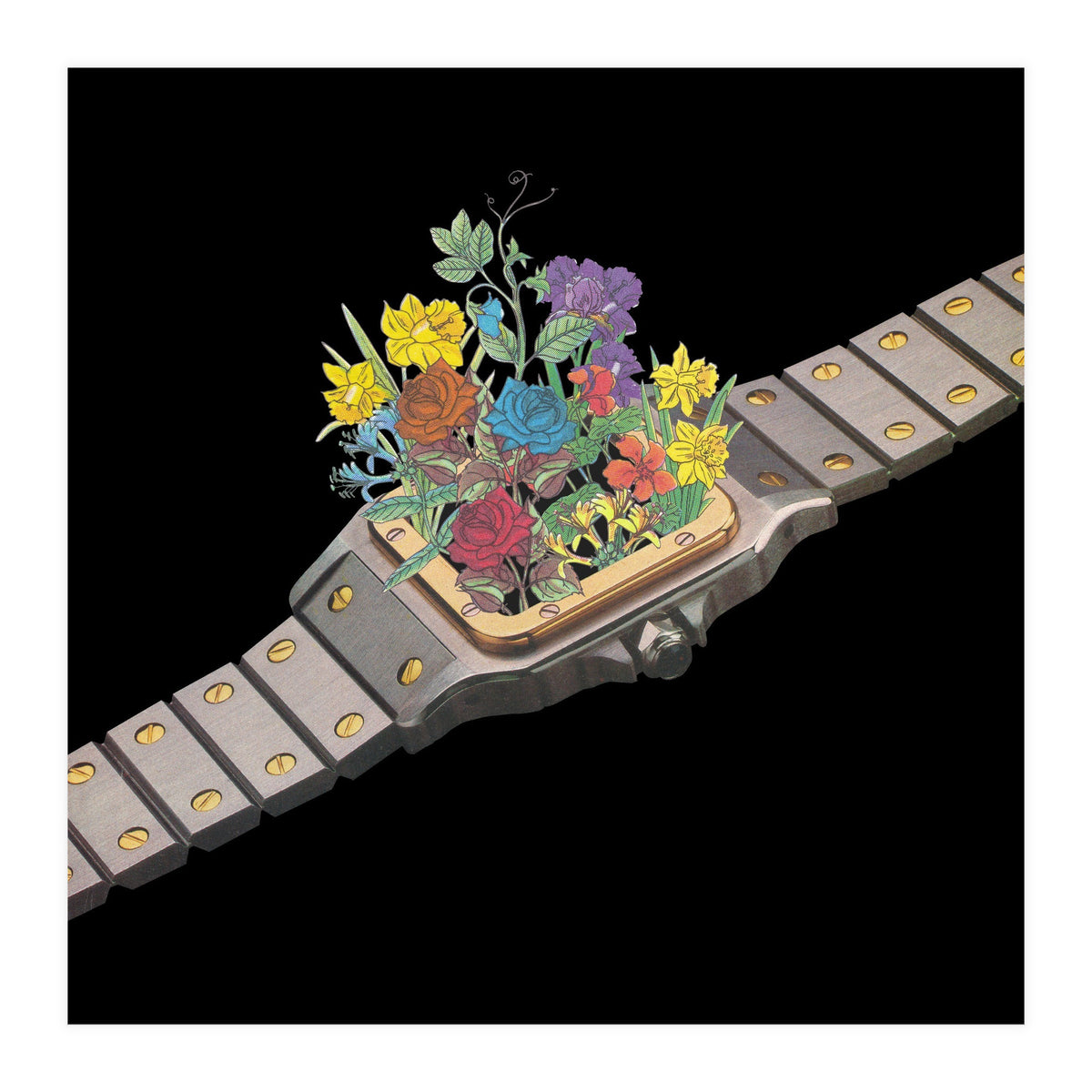 Natural Watch (Print Only)