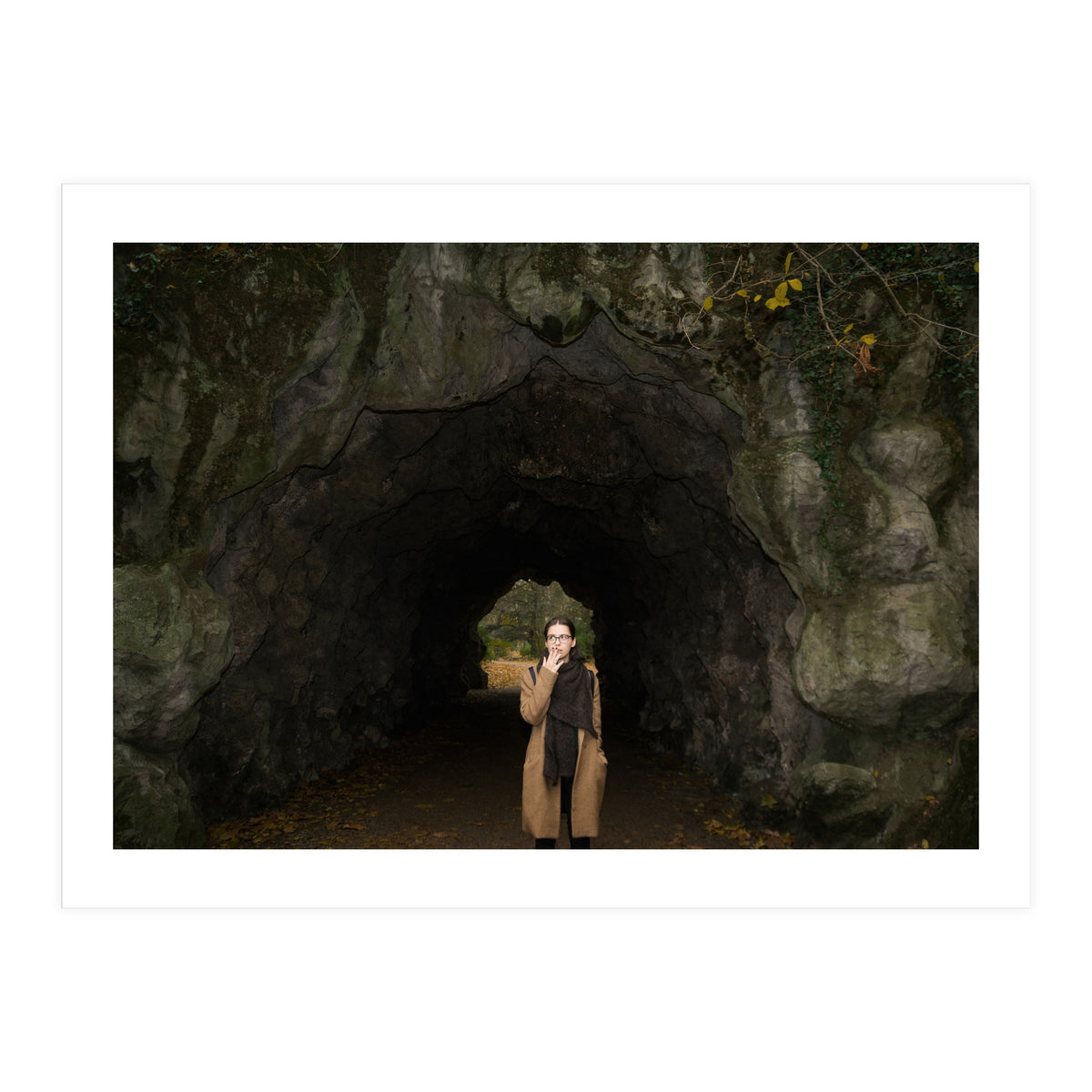 Transition from Summer to Winter (Print Only)