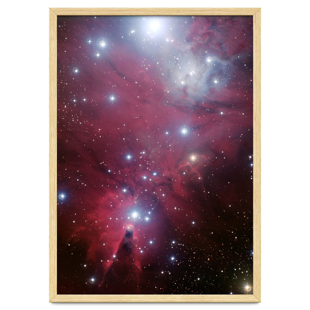 The Christmas Tree Cluster