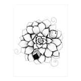 Poetic Echeveria Plant (Print Only) thumbnail