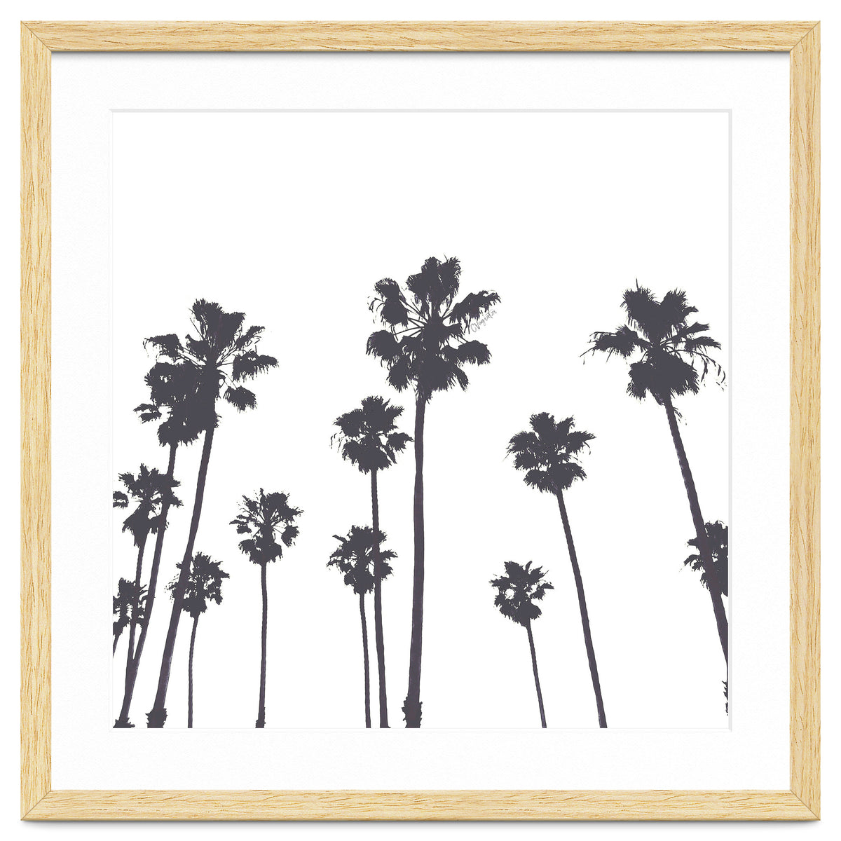 Palms & Sunset-Minimal B&W