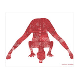 Prasarita Padottanasana in Red (Print Only) thumbnail
