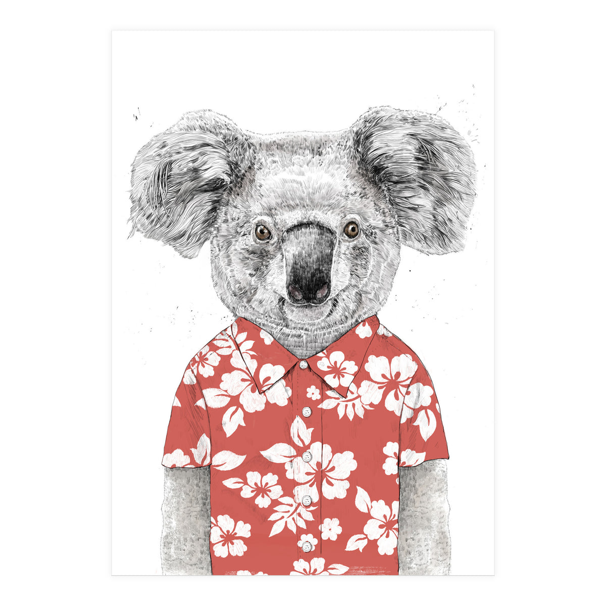 Summer Koala  (Print Only)