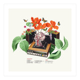 Brainwave (Print Only) thumbnail