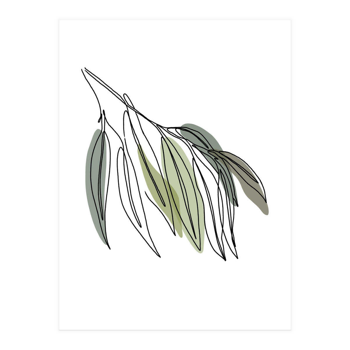 Willow (Print Only)