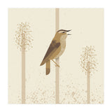 Sedge Warbler (Print Only) thumbnail