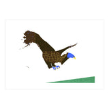American Bald Eagle (Print Only) thumbnail