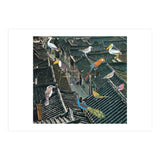 Bird Town (Print Only) thumbnail