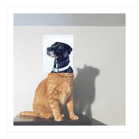 Domestic Animal (Print Only)
