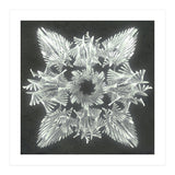A Winged Debacle (Print Only) thumbnail