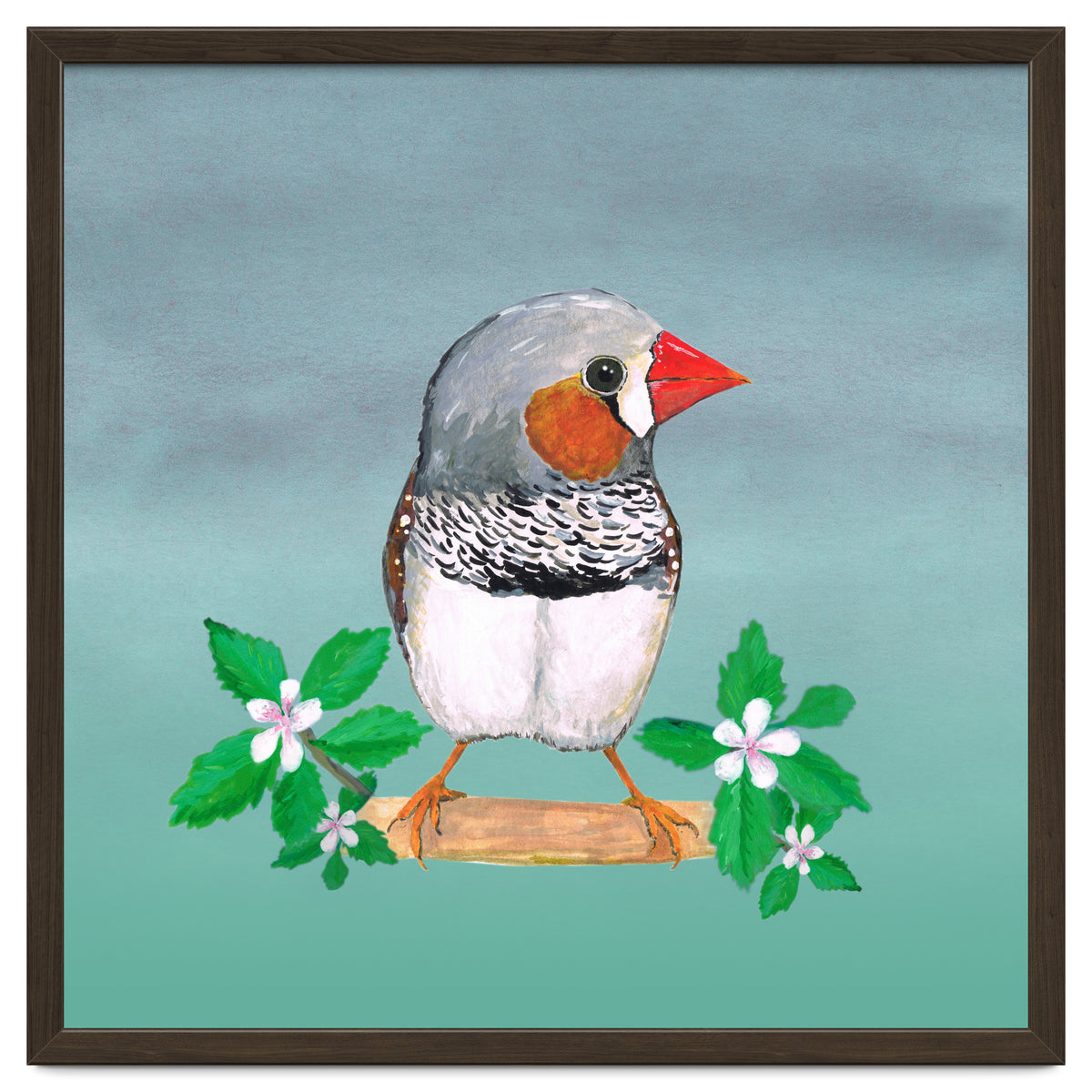 Zebra finch
