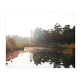 Bog (Print Only) thumbnail