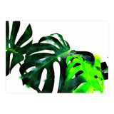 Fresh Leaves (Print Only) thumbnail