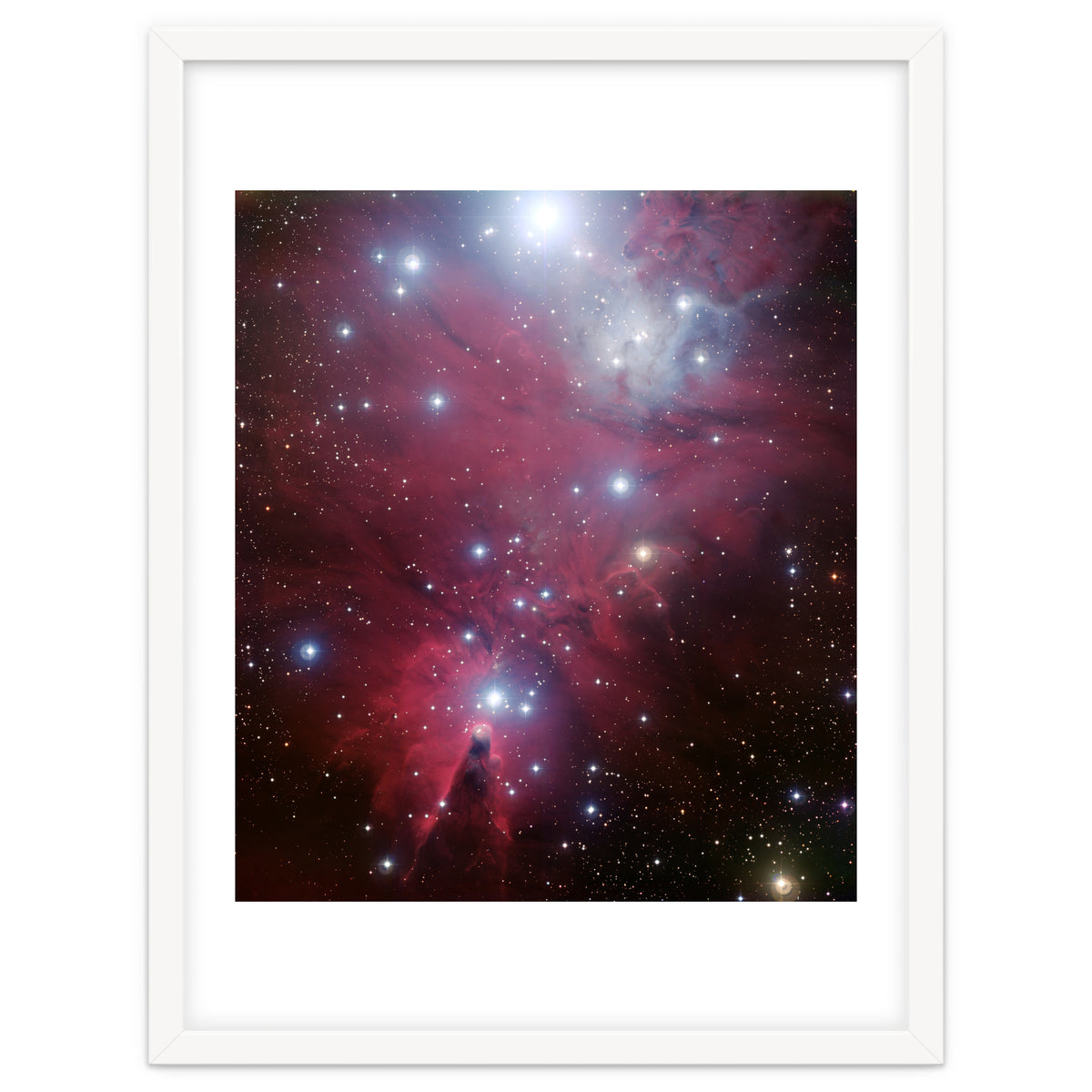 The Christmas Tree Cluster