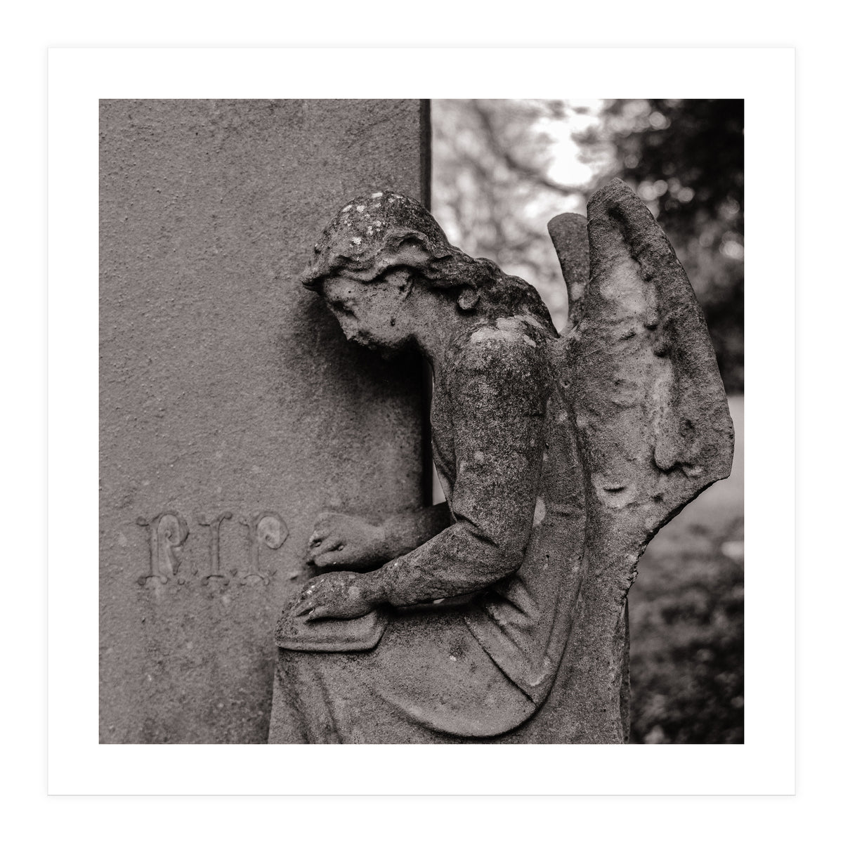 Rest in Peace (Print Only)