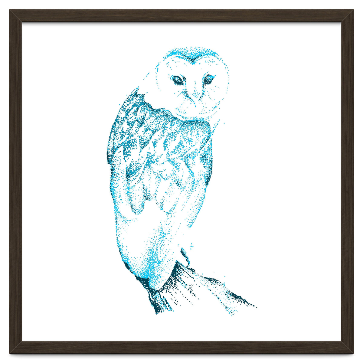Barn Owl in Teal