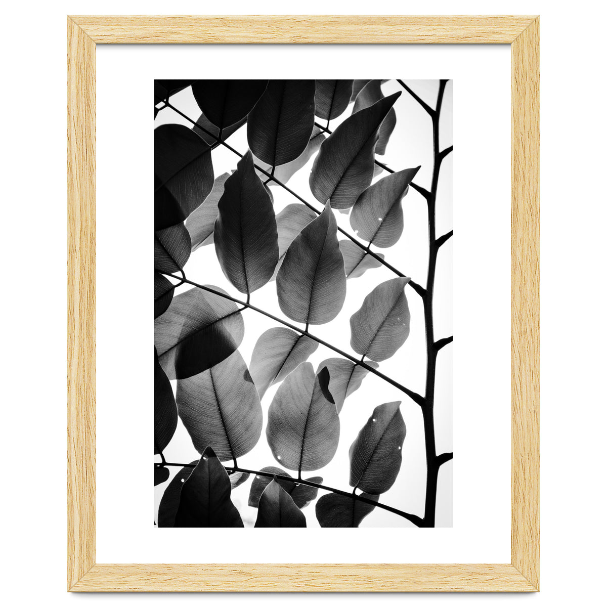 Branches and Leaves II